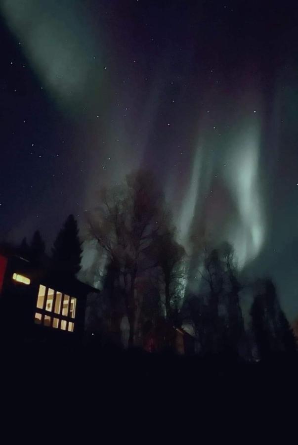 Cosy Cabin In North-Norway, Nearby Senja. Сёррейса Экстерьер фото